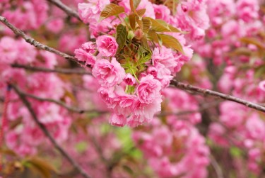 常州天宁区8线下个人借款平台一站式服务，轻松解决资金难题
