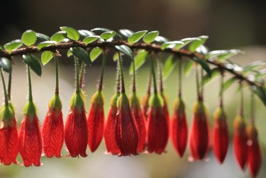 常州天宁区8零用贷短借：轻松解决临时资金需求