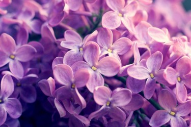 常州天宁区8企业急用钱贷款攻略：快速融资解燃眉之急